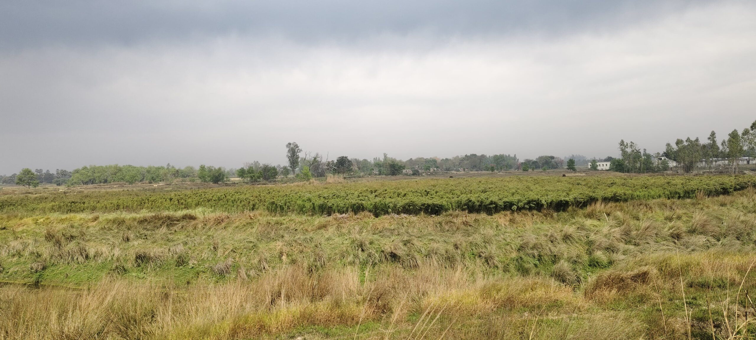 किसानों