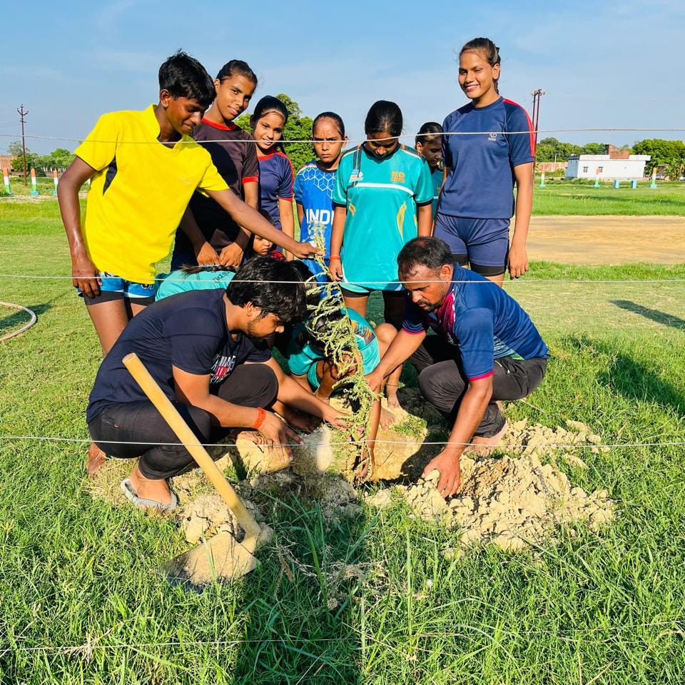 वृक्षारोपण